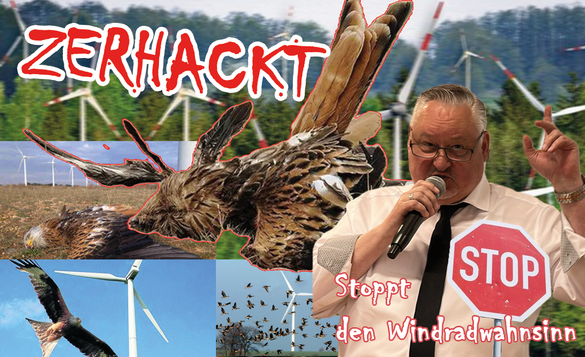 Stoppt den Windradwahnsinn in Deutschland - Heiko Petzoldt zur aktuellen Energiepolitik in Deutschland